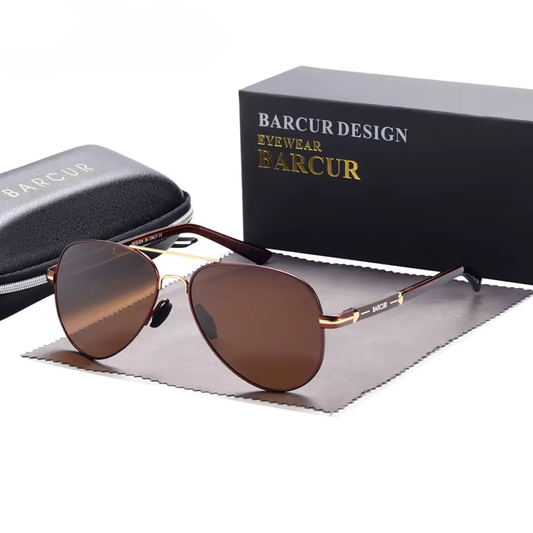 Aviator Polarised Sunglasses