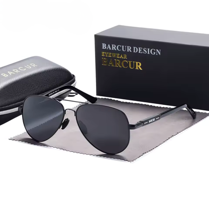 Aviator Polarised Sunglasses